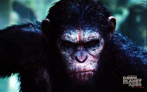 Dawn Of The Planet Of The Apes